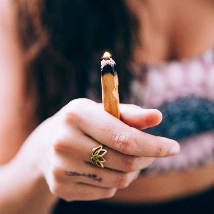 What Is Palo Santo, and How Is It Used Medicinally?